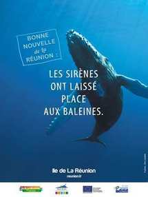 L'île de la Réunion riposte après les émeutes...