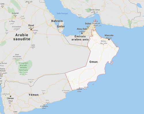 Le MEAE recommande de faire preuve de vigilance, de ne pas se rendre dans les wadis (oasis), d’adapter ses déplacements en conséquence - DR Le MEAE recommande de faire preuve de vigilance, de ne pas se rendre dans les wadis (oasis), d’adapter ses déplacements en conséquence - DR