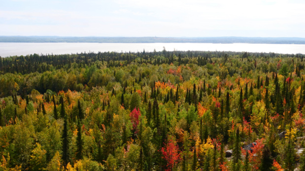 Les paysages d'Abitibi-Témiscamingue © Laurie Medina