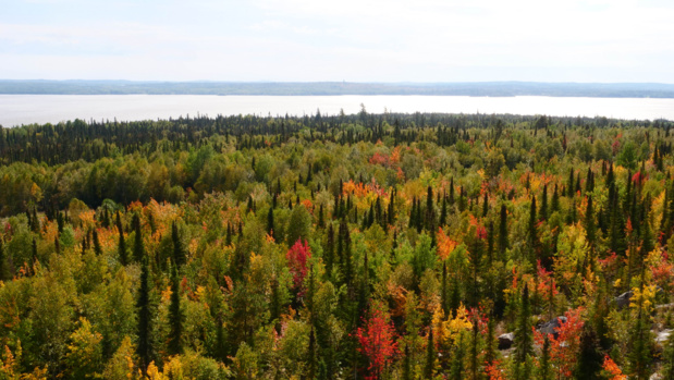 Les paysages d'Abitibi-Témiscamingue © Laurie Medina Les paysages d'Abitibi-Témiscamingue © Laurie Medina