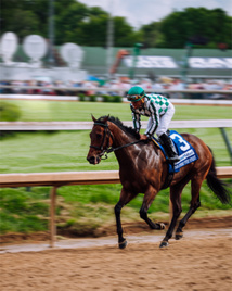 Brand USA vous invite à un itinéraire pour déguster du Bourbon Brand USA vous invite à un itinéraire pour déguster du Bourbon