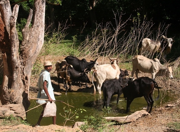 Au lieu de s’en remettre à des exploitants touristiques classiques pour développer ces atouts, les initiateurs de ce projet ont conçu « un accueil villageois ».  Ces accueils sont organisés dans chaque village par des équipes composées d’agriculteurs, d’artisans,  tous habitant obligatoirement ces villages./photo JDL