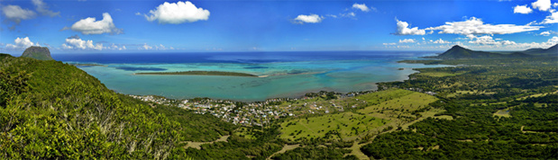 Copyright : Maurtourco – Ebony Forest Copyright : Maurtourco – Ebony Forest