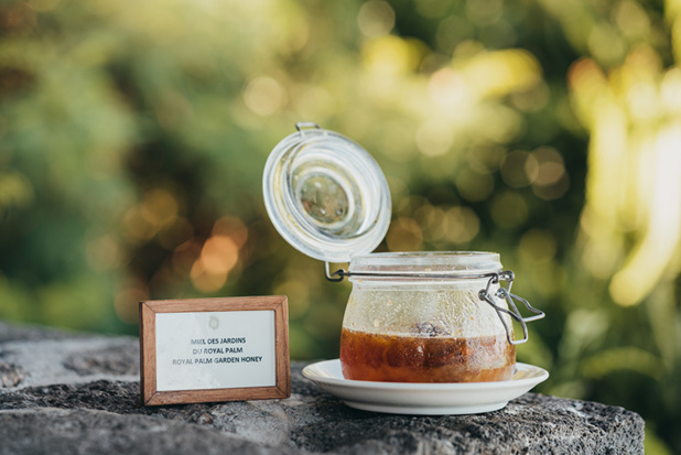 Copyright : Beachcomber Resorts & Hotels - projet d'apiculture durable « Bee Sustainable » Copyright : Beachcomber Resorts & Hotels - projet d'apiculture durable « Bee Sustainable »