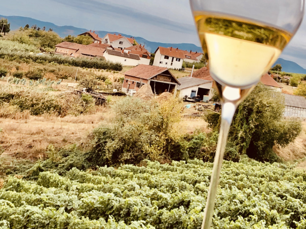 Un vignoble et des vins surprenants... /crédit photo JDL