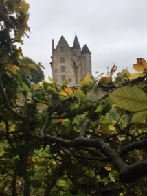 Le donjon du Ballon fut l’objet de toutes les convoitises - DR : J.-P.C. Le donjon du Ballon fut l’objet de toutes les convoitises - DR : J.-P.C.