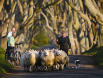 L'Irlande, le pays des grands espaces