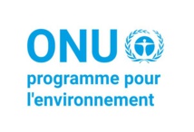 Compensation carbone : arrêtez de planter des arbres !  Compensation carbone : arrêtez de planter des arbres !