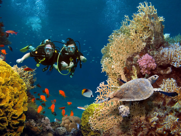 DR : AdobeStock DR : AdobeStock