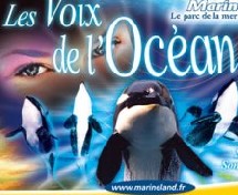 Antibes : l’Espagnol Parques Reunidos rachète pour 40 ME Marineland Antibes : l’Espagnol Parques Reunidos rachète pour 40 ME Marineland