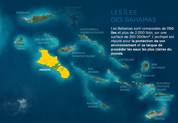 L'OT des Bahamas fait gagner des places en éductour