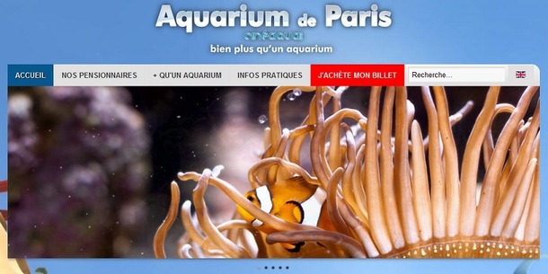 Capture d'écran du nouveau site Internet de l'Aquarium de Paris - DR
