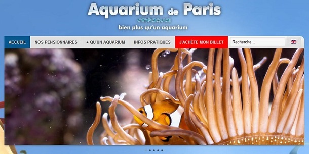Capture d'écran du nouveau site Internet de l'Aquarium de Paris - DR Capture d'écran du nouveau site Internet de l'Aquarium de Paris - DR
