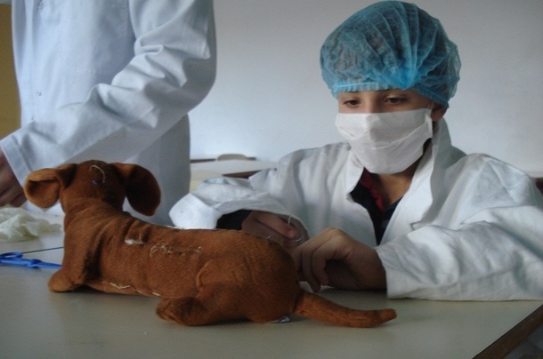 Le séjour "Graine de véto" permet aux jeunes de découvrir le métier de vétérinaire - Photo DR
