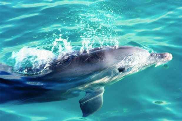 Crédit photo : Mautourco Crédit photo : Mautourco