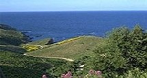 Languedoc-Roussillon : baisse de l'activité en juillet Languedoc-Roussillon : baisse de l'activité en juillet
