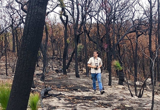 La plupart des foyers ont été maîtrisés en Asutralie - Crédit photo : compte Twitter @redball2