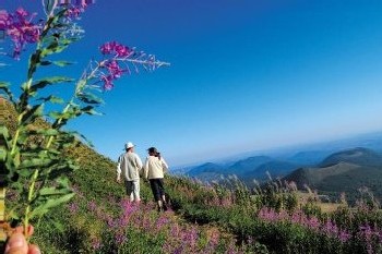 Chamina Voyages : rando Walk & Talk en Puy-de-Dôme