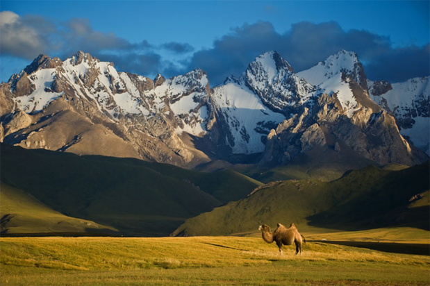 Nature pure au Kirghizistan