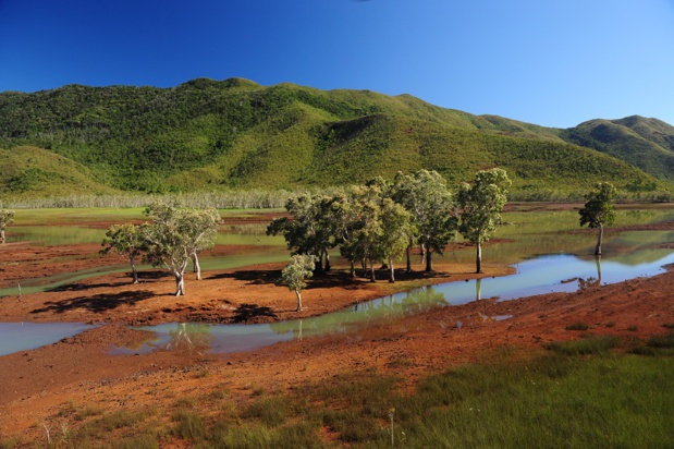 Ramsar Rivère Blanche Lac yaté – © M.Dosdane