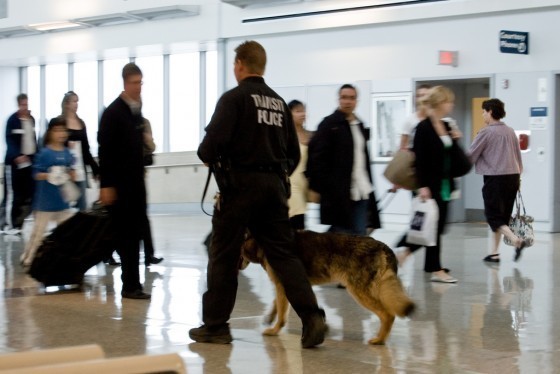"C'est pour votre sécurité. Circulez". On ne discute pas. Jugulaire, jugulaire.../photo JDL "C'est pour votre sécurité. Circulez". On ne discute pas. Jugulaire, jugulaire.../photo JDL