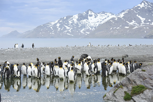 DR : Studio PONANT Leslie Levadoux DR : Studio PONANT Leslie Levadoux