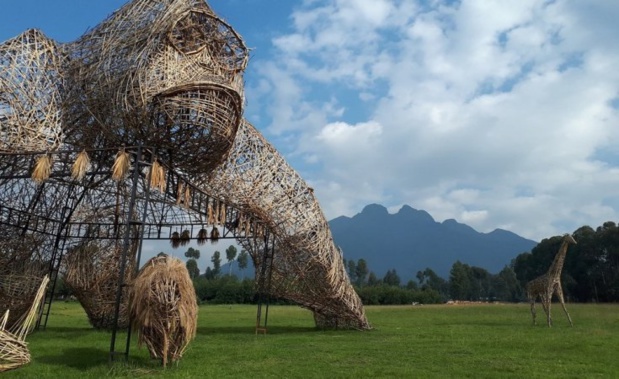 Le Rwanda dévoile sa nouvelle politique visas (photo: Campaign for Nature) Le Rwanda dévoile sa nouvelle politique visas (photo: Campaign for Nature)