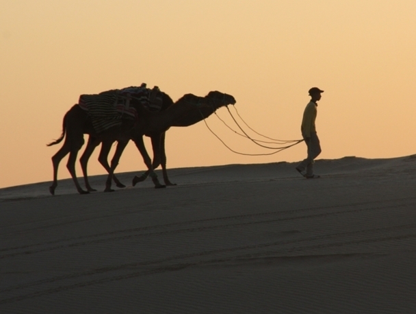 Dans le Sud tunisien, plus particulièrement, le tourisme est une denrée vitale pour la population. /photo JDL