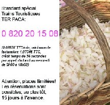 La SNCF crée le Train des Parfums pour desservir Grasse La SNCF crée le Train des Parfums pour desservir Grasse