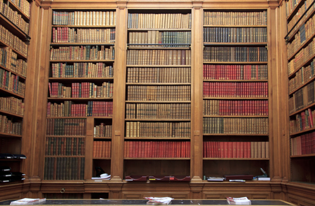 Le Conseil d'Etat est compétent pour rendre un avis sur tout autre texte réglementaire ou sur une question juridique particulière :crédit DepositPhoto Le Conseil d'Etat est compétent pour rendre un avis sur tout autre texte réglementaire ou sur une question juridique particulière :crédit DepositPhoto