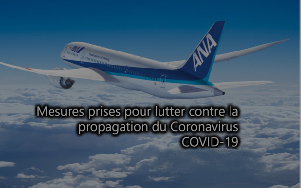 ANA supprime momentanément les dessertes des lignes de Tokyo vers Paris, Francfort (NH223/224), Munich, Düsseldorf, Bruxelles et Vienne entre le 29 mars et le 24 avril 2020. - capture écran ANA