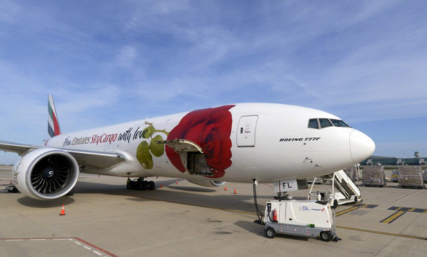 Entre mars et avril, Emirates SkyCargo effectuera également neuf rotations cargos vers Budapest pour transporter du matériel médical. /crédit photo Emirates