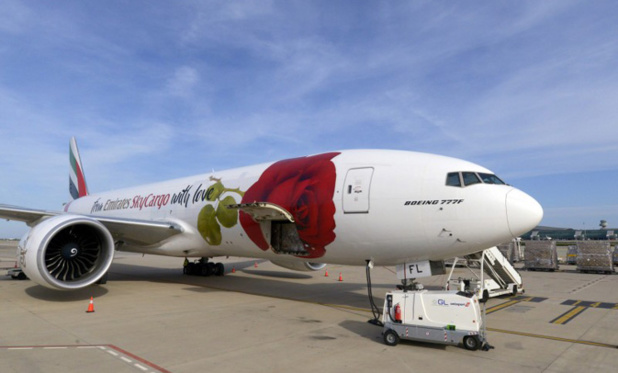 Entre mars et avril, Emirates SkyCargo effectuera également neuf rotations cargos vers Budapest pour transporter du matériel médical. /crédit photo Emirates Entre mars et avril, Emirates SkyCargo effectuera également neuf rotations cargos vers Budapest pour transporter du matériel médical. /crédit photo Emirates