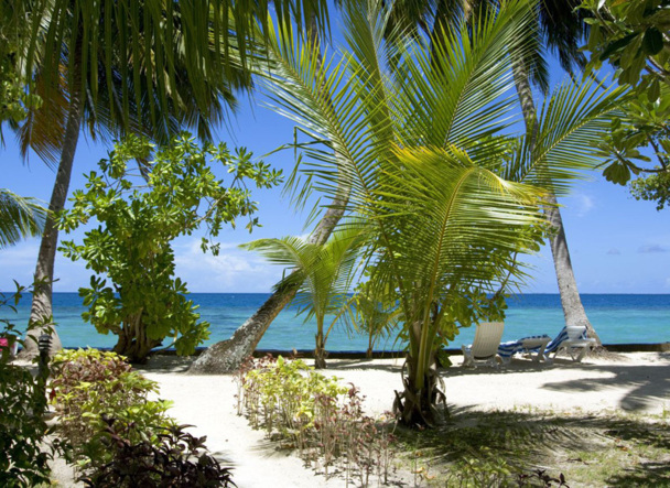 Les clients auront du choix pour partir en vacances en juillet et en août. Les VDM sont plébiscitées. Photo Fotolia DR Les clients auront du choix pour partir en vacances en juillet et en août. Les VDM sont plébiscitées. Photo Fotolia DR