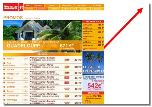 Nouvelles Frontières « piquée » au chikungunya et à Internet Nouvelles Frontières « piquée » au chikungunya et à Internet