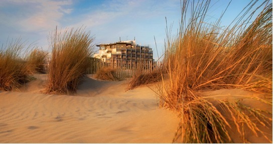 L'établissement de Thalazur est désormais baptise Les Bains de Camargue **** - Photo DR L'établissement de Thalazur est désormais baptise Les Bains de Camargue **** - Photo DR