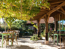 Cabane ostréicole au Cap Ferret - DR Millésime Privé Cabane ostréicole au Cap Ferret - DR Millésime Privé