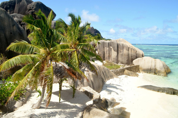 "Sur l’île de Mahé, il y a 60 plages. On ne choisit pas son carré de plage délimité mais réellement sa plage, son kilomètre de plage. Il y a un petit prix pour l’exclusivité et pour conserver ce paradis" explique Guillaume Albert, directeur général du réceptif Créole Travel Services Photo CD