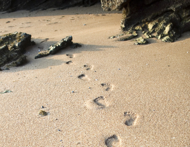 A lire dans la newsletter du 20 août, tous les sujets brûlants de l'été 2012 - DR: Fotolia A lire dans la newsletter du 20 août, tous les sujets brûlants de l'été 2012 - DR: Fotolia