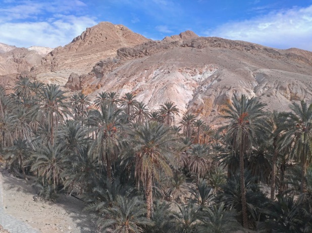 La région du sud tunisien est particulièrement aride, ce qui limite la construction d'infrastructures consommatrices d'eau. Mouna Mallek , CC BY-SA