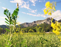 DR @activeroad DR @activeroad