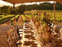 Vignévasion Vignévasion