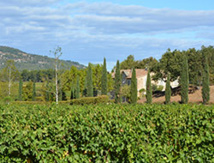 DR Vignévasion DR Vignévasion