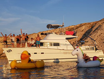 DR Vignévasion DR Vignévasion