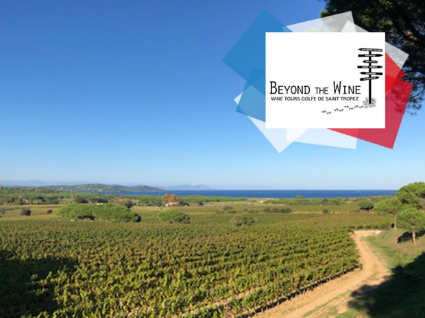 Copyright @ Beyond The Wine –Domaine des Tournels, Ramatuelle