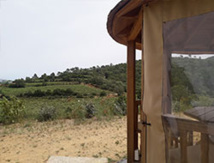 Copyright @ Beyond The Wine