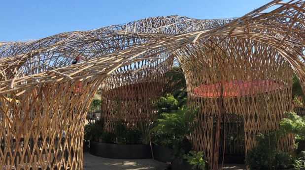 L’Oasis, la plus grande structure en bambous d’Europe - DR L’Oasis, la plus grande structure en bambous d’Europe - DR