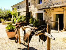 Le Mas de Brune - DR Mas de Brune Le Mas de Brune - DR Mas de Brune