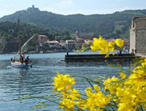 Vue Collioure - MTM VACANCES Vue Collioure - MTM VACANCES