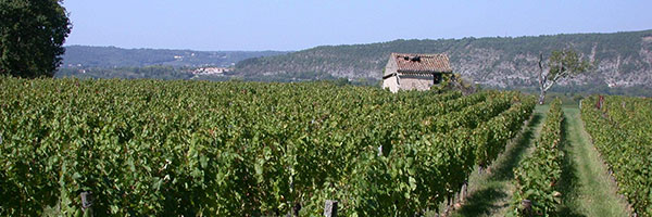 DR Lot Tourisme / VIGNOBLES VALLEE DU LOT